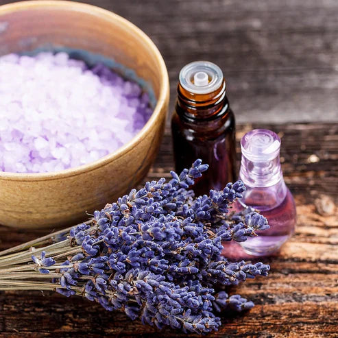 Lavender Seeds